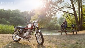 Mash Bike Fivehundred 1